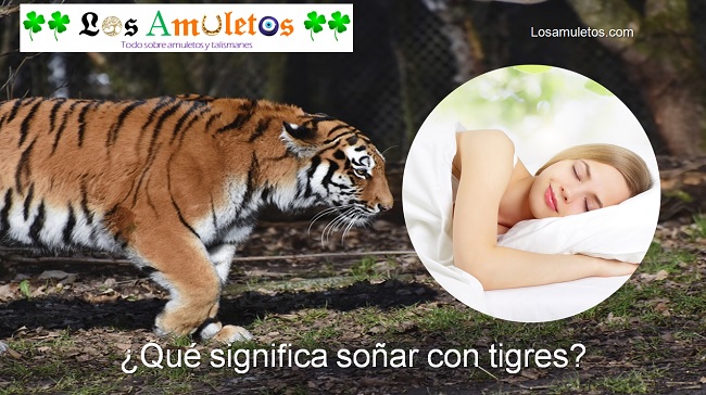 qué significa soñar con tigres