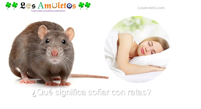 qué significa soñar con ratas